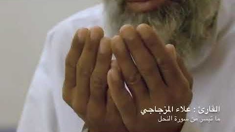 آيات_من_سورة_النمل_علاء المزجاجي