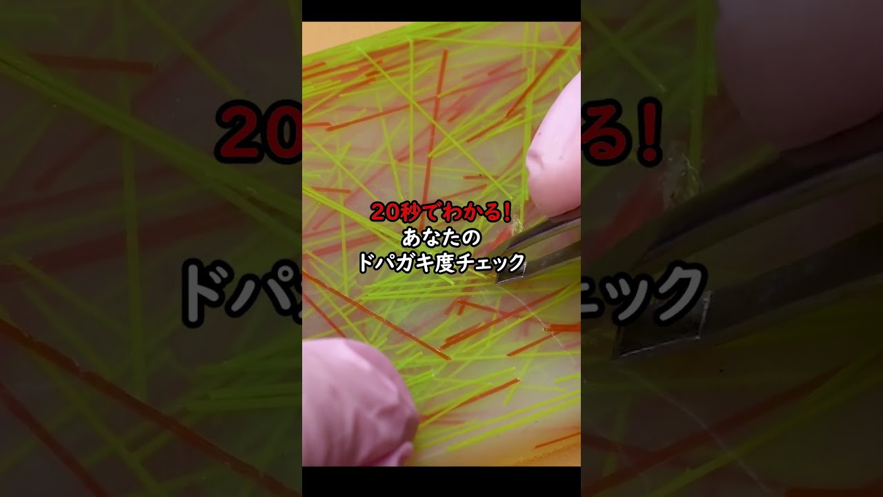 20秒でわかる!ドパガキ度チェック【※最後まで見れない人はドパガキ度MAX🔥】 #asmr