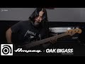 STRINGS SHOP | AMPEG X OAK BIGASS