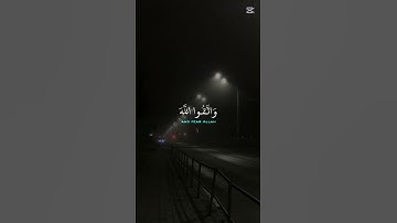 اكتب شيء تؤجر عليه ❤🎧😴 #صوت_جميل #اكسبلور #تلاوة_خاشعة #قرآن #المصحف #راحة_نفسية #لايك