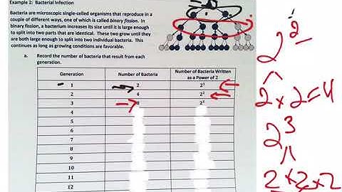 Mr. Quick Grade 6 Module 4 Lesson 22