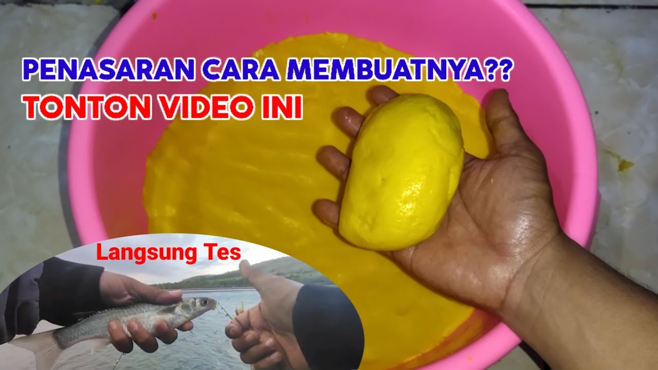 CARA MEMBUAT UMPAN KUNING BUAT IKAN BELANAK || MULLET FHISING || LANGSUNG TES