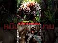 Ankyloursus ราชาแห่งพงไพรผู้ไร้ความปรานี #overlord #anime #manga