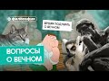 Видео для тех, кто думает о вечном в 3 часа ночи