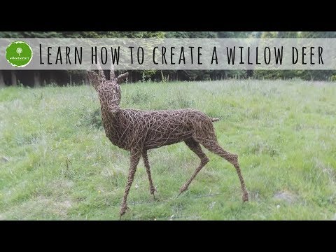 Video: Arbor Made Of Wicker Willow: Weaving A 
