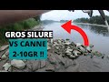 Silure 1m70 en ul  attaque de fou  50cm du bord 