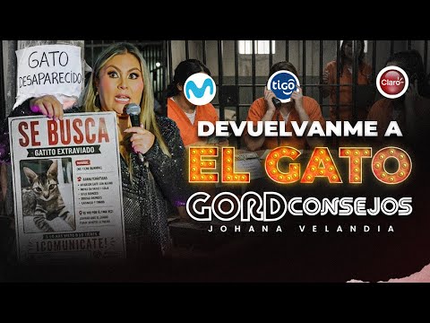 🎥 CAPÍTULO #142 | DEVUELVANME AL GATO! 🐈‍⬛😡