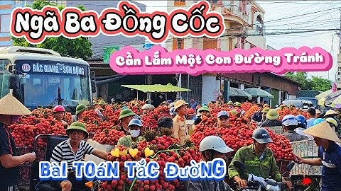 TẮC ĐƯỜNG VỤ VẢI THIỀU ĐÂU LÀ GIẢI PHÁP I NÚI ĐỒI LỤC NGẠN
