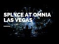 Splyce  - Omnia Las Vegas