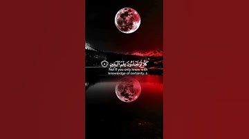 الهاكم التكاثر 🌿حتى زرتم المقابر 🌿للقارئ رعد الكردي 🌿
