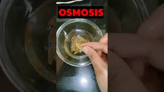 Class 9 Science Activity 5.4 | Osmosis in raisins #osmosis #class9science #Activity5.4Class9