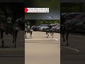 Taiwan military unveils sci-fi-like robot dogs that can hunt targets