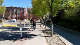 SAIT test video