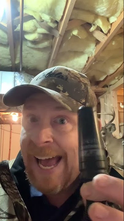 how-to-use-a-grunt-call-youtube