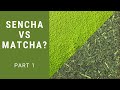 The Difference Between Matcha & Sencha Japanese Green Tea Part 1 | 6 WAYS THAT THESE VARY