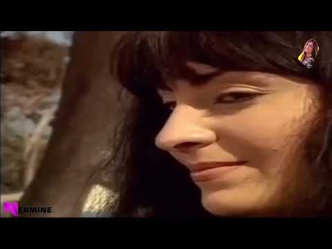 ثورة الحريم