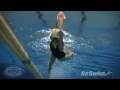 Swimming - Finis - Freestyler Hand Paddles