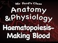 Blood Cell Formation and Function Quiz