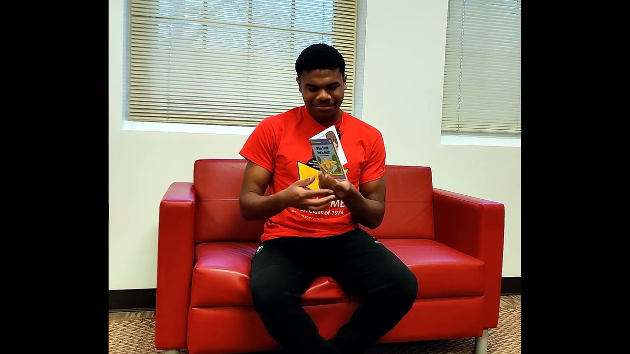 Who Took Pat's Hat by Liza Charlesworth