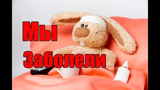 видео: ВГБК/Смертельные болезни кроликов/Как справлялись картинка: ВГБК/Смертельные болезни кроликов/Как справлялись