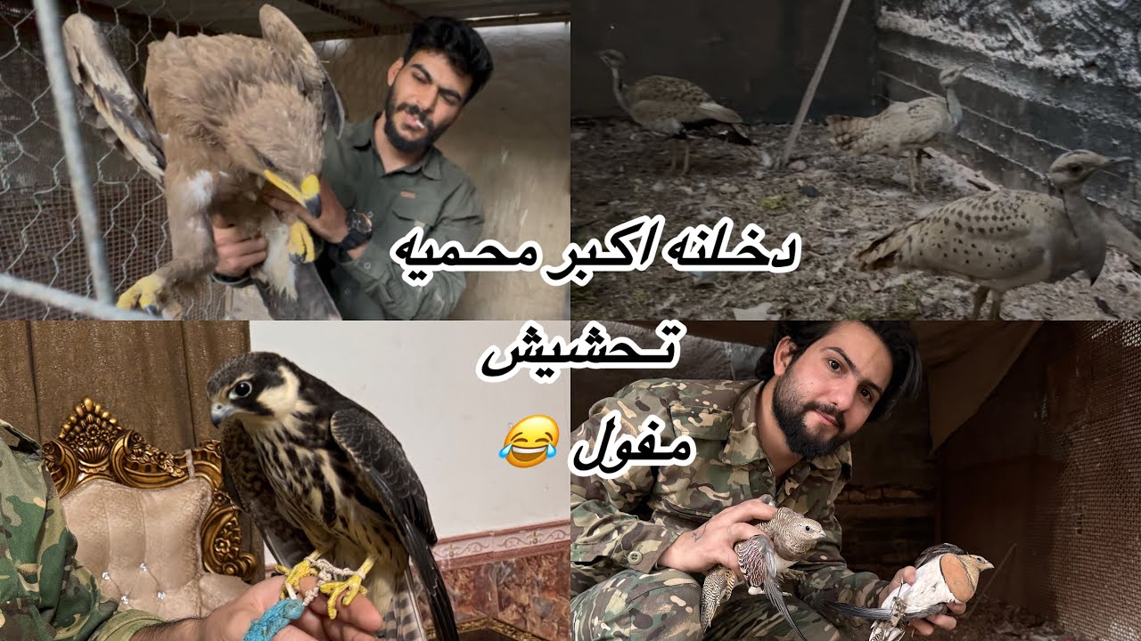 دخلنا محميه بيه انواع طيور جارحه ولحبار بس صارت تحشيش 😂 ويه مرتضى / حسين جواد 