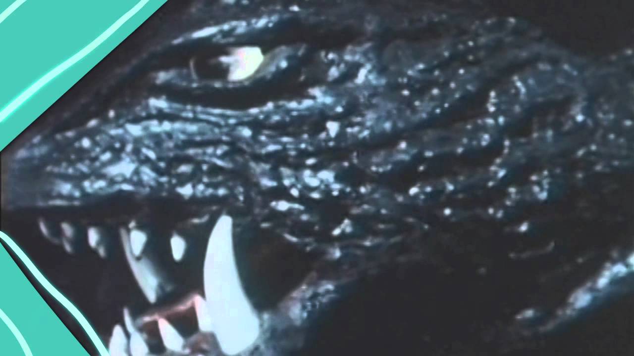 REGURGITATOR - NO SHOW (Official) video thumbnail