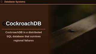 What is CockroachDB Distributed SQL for Developers