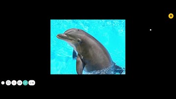 PebbleGo Ocean Animals