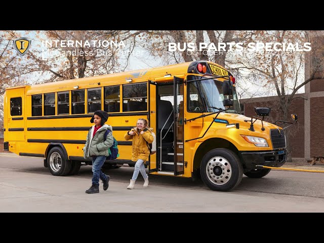 Video Preview Image