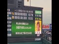 20260306　申し合わせ事項により、9回打ち切りのｱﾅｳﾝｽ　#shorts@阪神甲子園球場･ﾚﾌﾄ外野 ｵｰﾌﾟﾝ戦