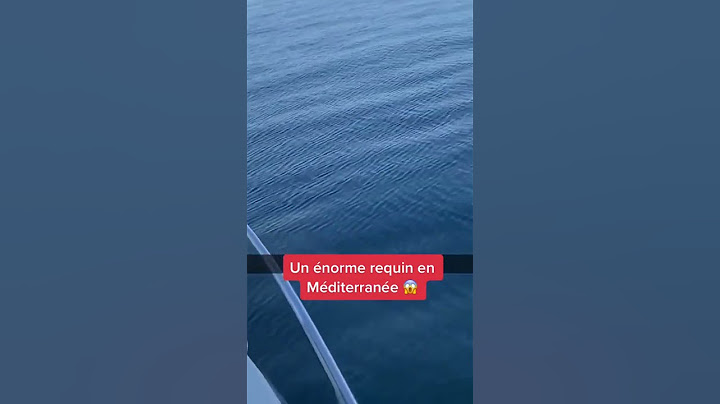 #requin #mer #ocean #etrange #plage #bateau#tiktok #shorts