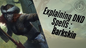 In-Depth D&D Spell Explanations - Barkskin | 2024 Edition