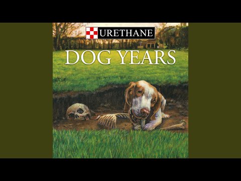 Dog Years