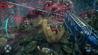 Evolve - Quantum Caira   Gorgon Win