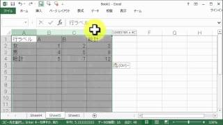 Excel 2013 ピボットテーブルを用いたクロス集計表の作成と独立性の統計量ピアソンのχ2