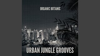Sultry Rainforest Rhythms