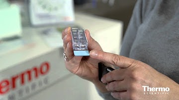 Expert Insight - Sarah Verna - Enabling Growth of Anchorage-Dependent Cells