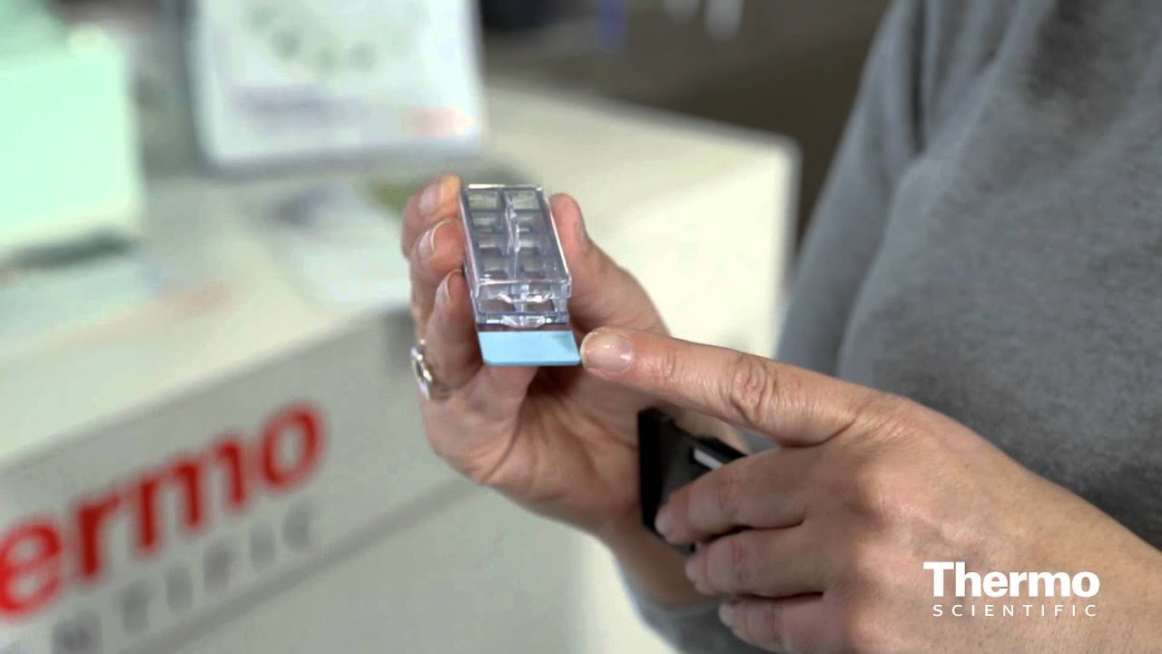 Expert Insight - Sarah Verna - Enabling Growth of Anchorage-Dependent Cells