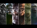 Evolution of kong  19332024