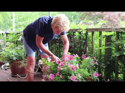 Watering pots - Springvale Garden Centre