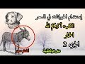 إستخدام الحيوانات في السحر الجزء 2 العالم الآخر 