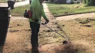 Free yard cleanup for ELDERLY MAN