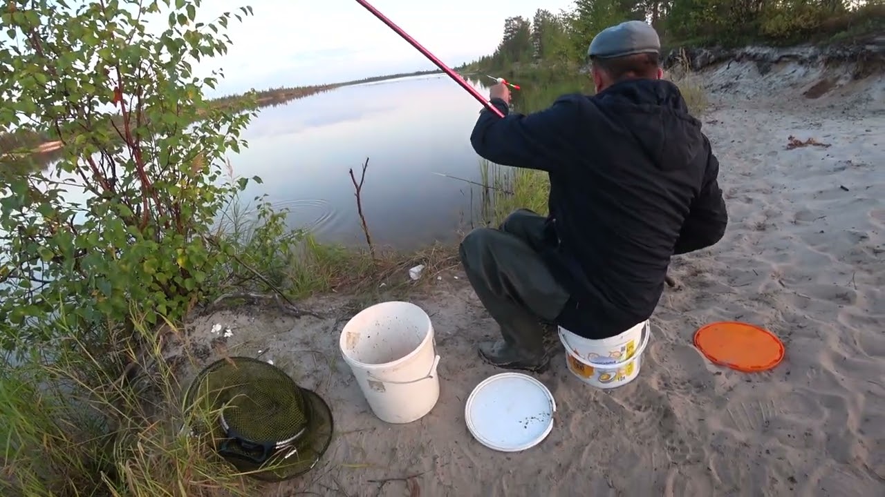 Вот это Саня лупит окуней!!! Ловит оду за одной