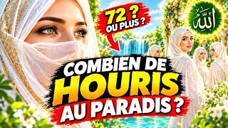 Pourquoi parle-t-on de 72 Houris ? Le point sur les textes