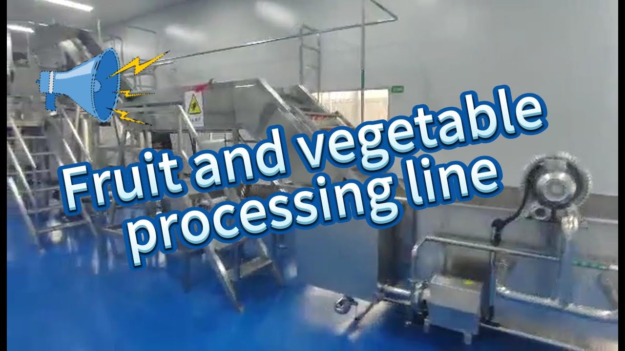 fruit and vegetable processing line - YouTube