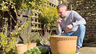 Famous A Simple Spring Day in My English Village Wealth