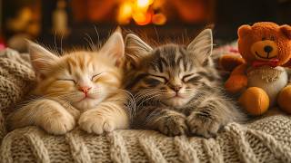 Deep Soothing Music for Stressed Cats 🐈 Calm Sounds for Relaxation & Deep Sleep All Night