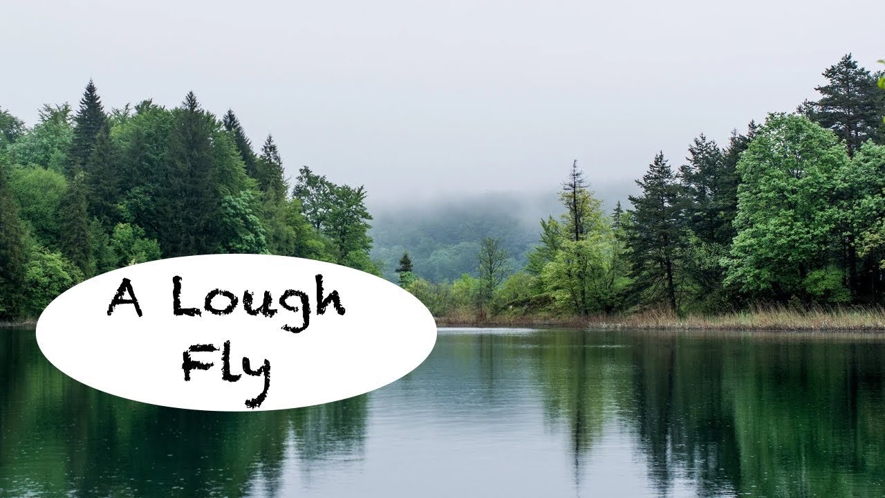 Эта муха изменила мою жизнь.