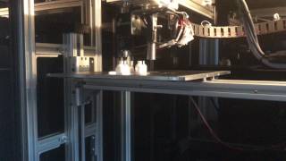 IMG 1766