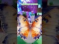 Happy birthday decorations| How make to half around arch decorations | #viral #ytshort #ytshorts #yt